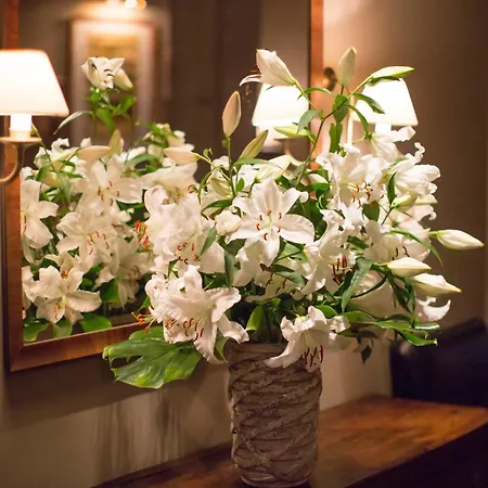 Отель Monbijou Берлин