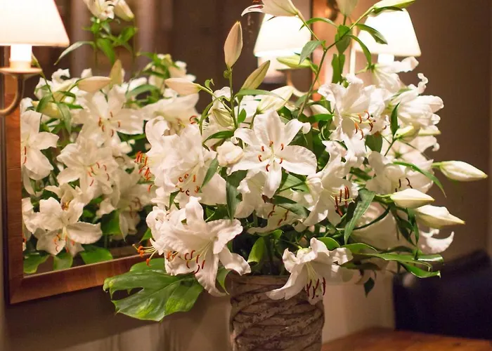 فندق مونبيجو برلين