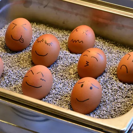 Monbijou Отель 3*